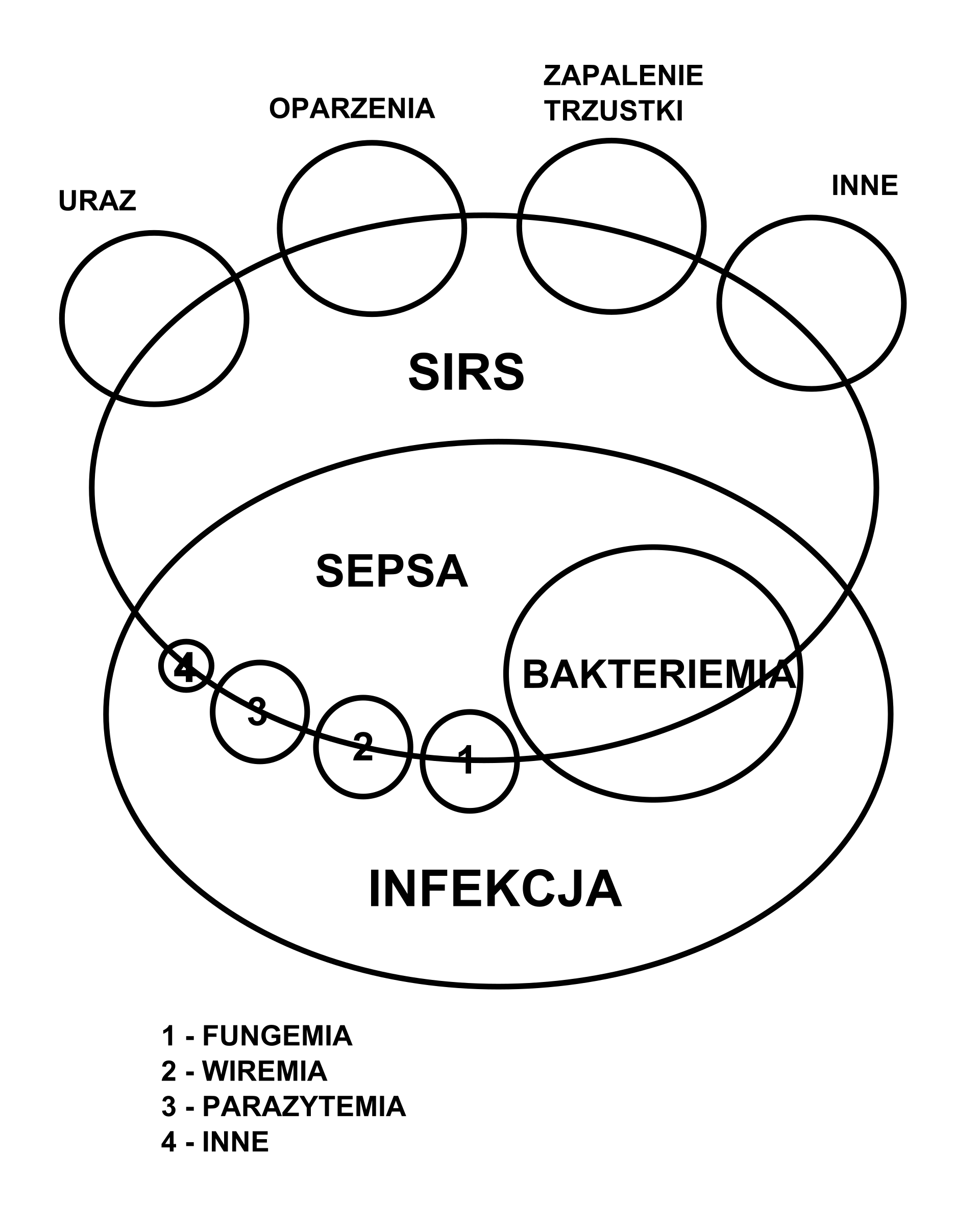 Diagrama de las interrelaciones fisiopatológicas de la sepsis: infección, respuesta inflamatoria sistémica, disfunción endotelial y disfunción multiorgánica.